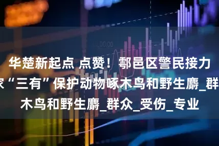 华楚新起点 点赞！鄠邑区警民接力 接连救助国家“三有”保护动物啄木鸟和野生麝_群众_受伤_专业