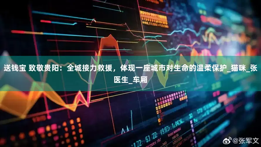 送钱宝 致敬贵阳：全城接力救援，体现一座城市对生命的温柔保护_猫咪_张医生_车厢