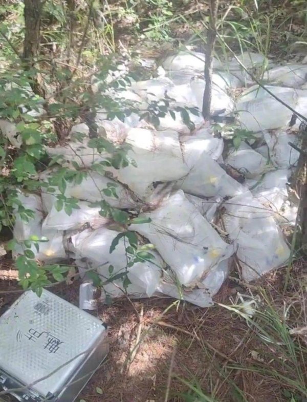 鸿满仓 江西一树林现大量被丢弃药品？两地卫健委回应