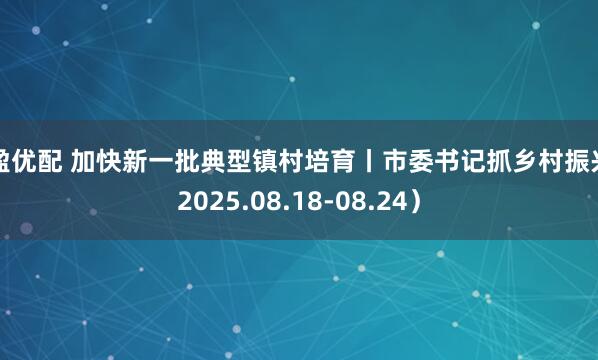 启盈优配 加快新一批典型镇村培育丨市委书记抓乡村振兴（2025.08.18-08.24）