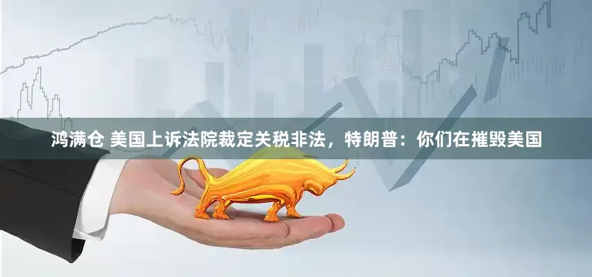 鸿满仓 美国上诉法院裁定关税非法，特朗普：你们在摧毁美国