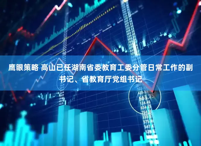 鹰眼策略 高山已任湖南省委教育工委分管日常工作的副书记、省教育厅党组书记